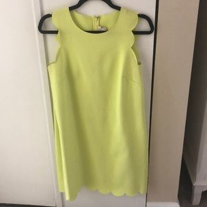 J Crew Factory Dress Size 6
